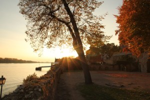 Herbstimpression Eltville