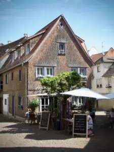 Road Trip along the German apple wine route "Route du Äppler"