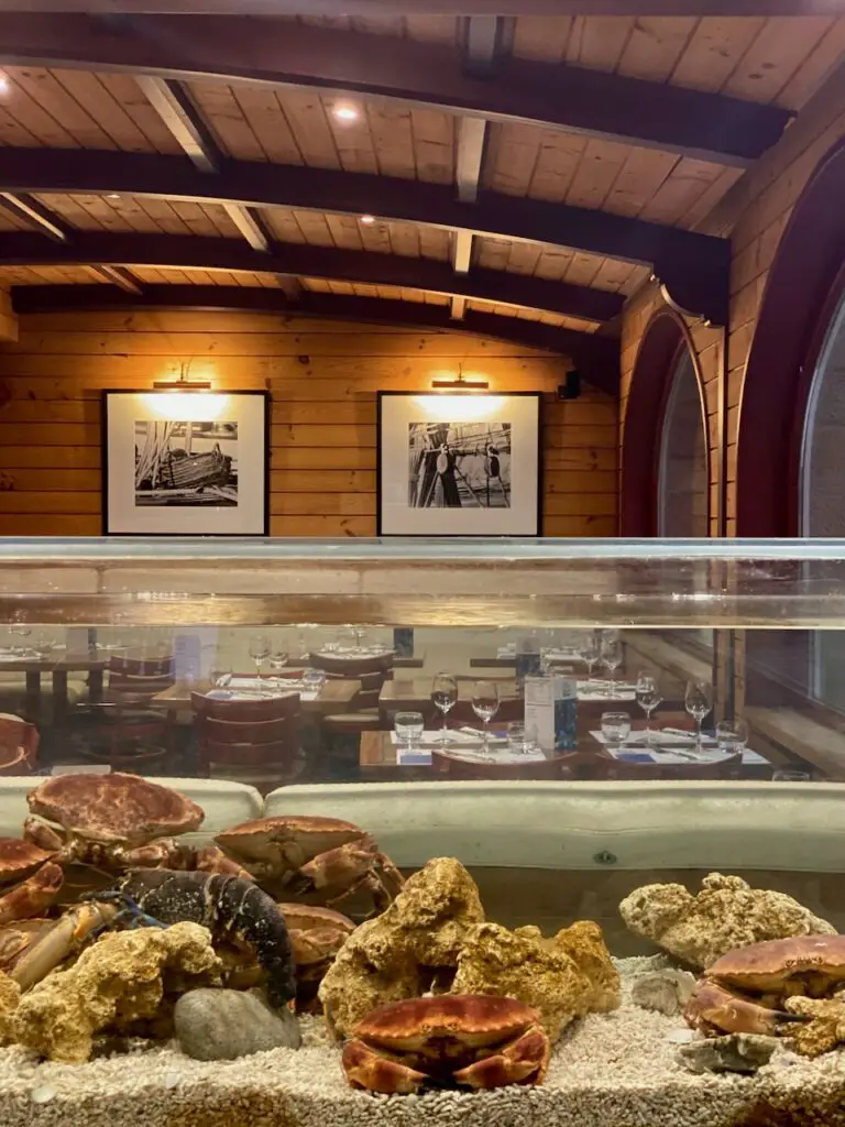 Gourmet trip to Brittany with Frische Paradies - Monkfish Cheeks in Saffron Sauce