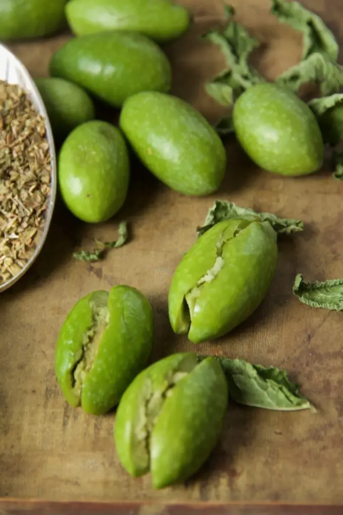 Zeytoon Parvardeh - Persian marinated Olives