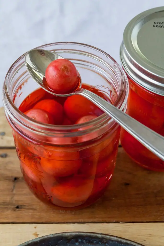 Torshi Torobche - Quick Pickled Radishes ترشی تربچه