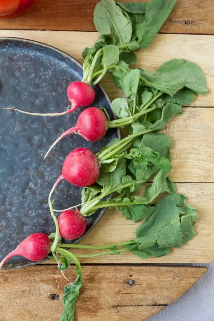 Torshi Torobche - Quick Pickled Radishes ترشی تربچه