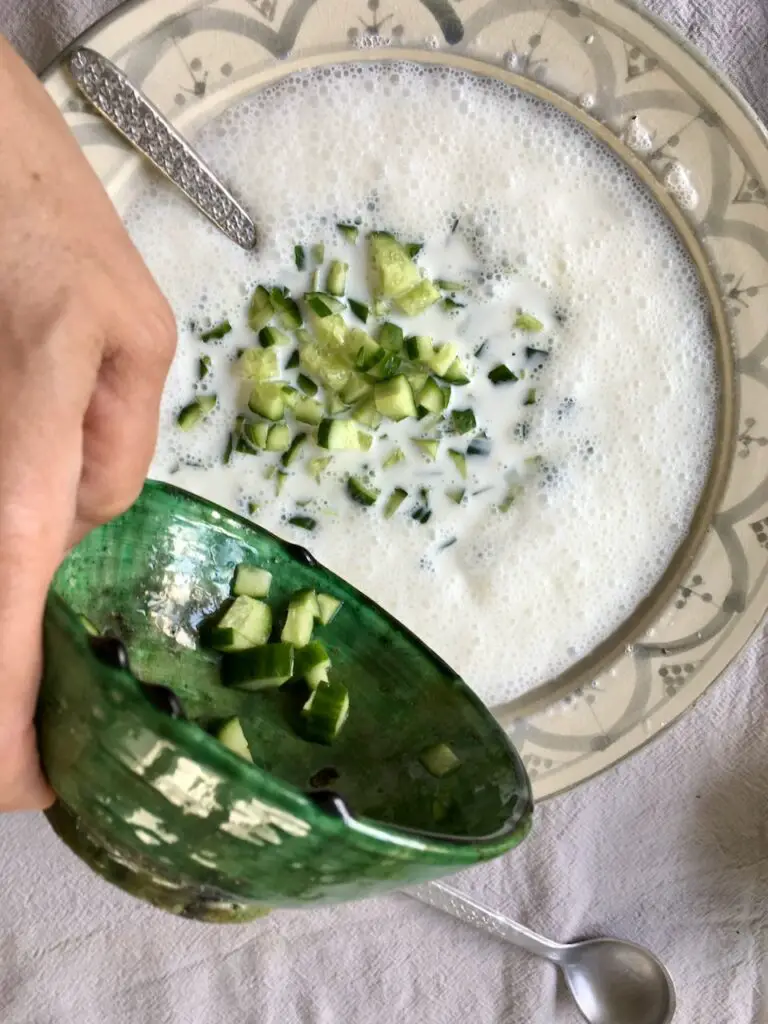 Persian Cold Yogurt Soup - Abdoogh Khiar