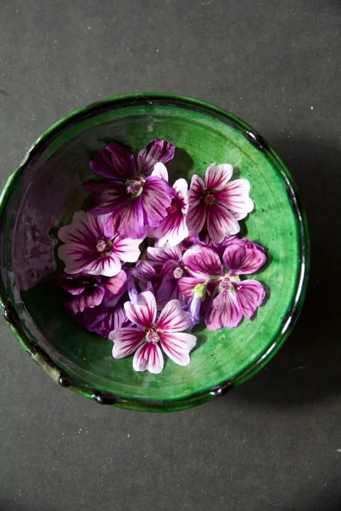 Sharbat-e Panirak - Blue Mallow Flower Drink شربت گل پنیرک