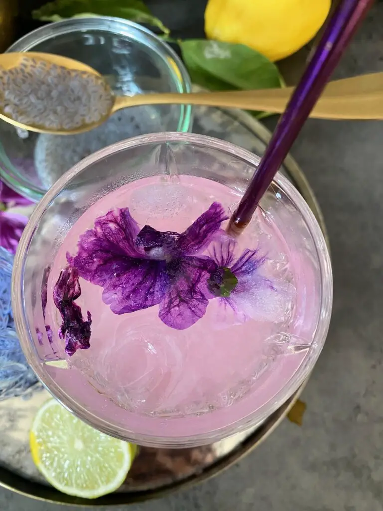 Sharbat-e Panirak - Blue Mallow Flower Drink شربت گل پنیرک