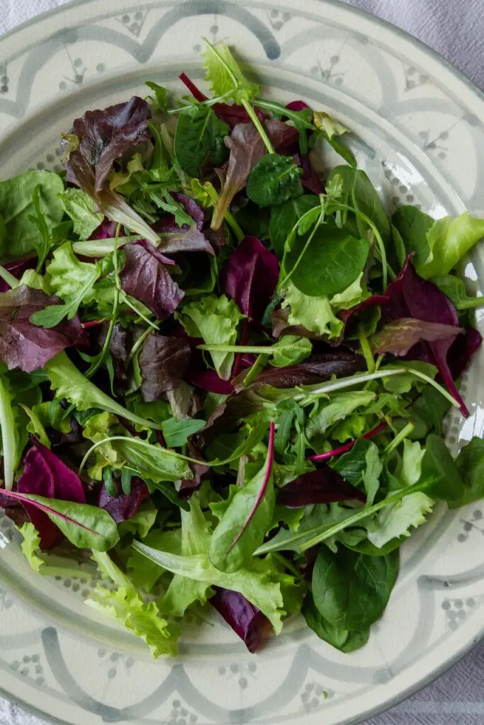 Salad-e Ranginkaman – Rainbow Salad