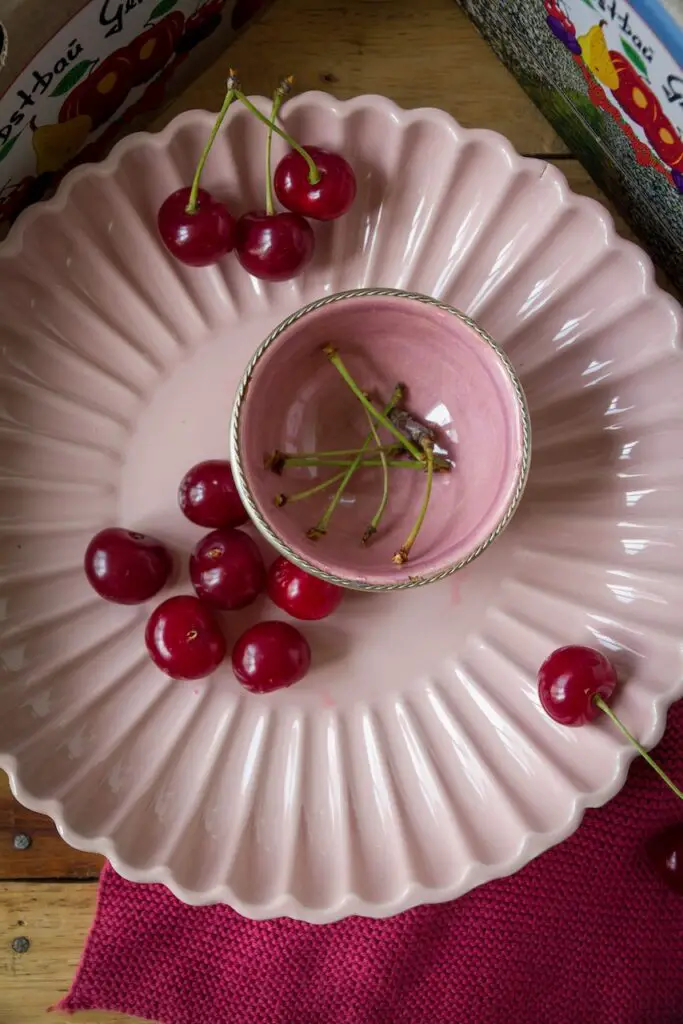 Albaloo Khoshk – Dried Sour Cherries from the Airfryer