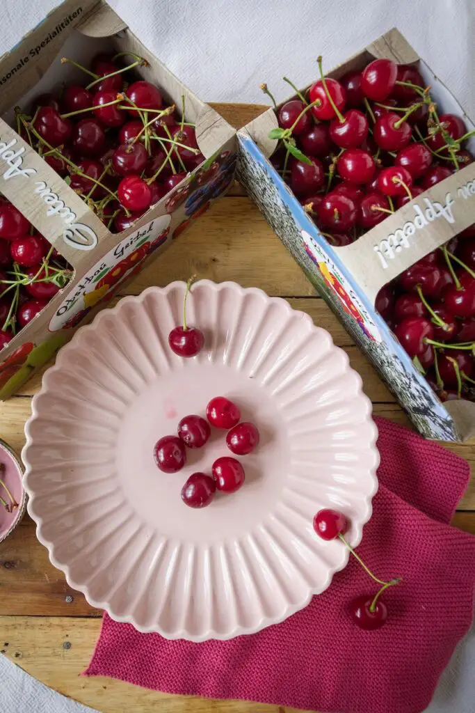 Albaloo Khoshk – Dried Sour Cherries from the Airfryer