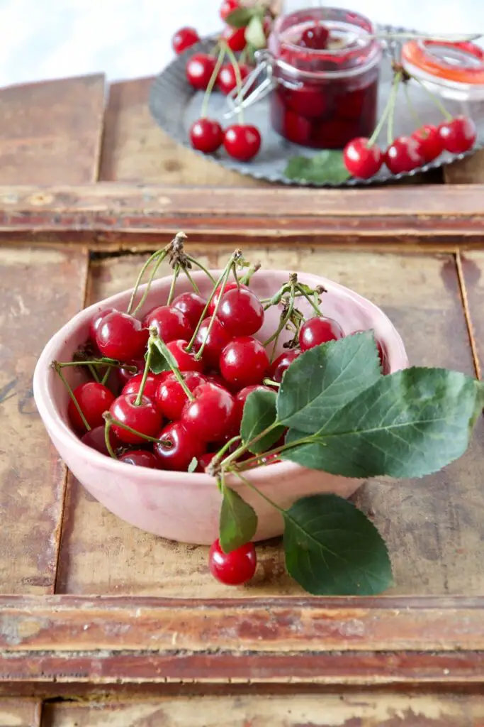 Morabay-e Albaloo – Persian Sour Cherry Jam