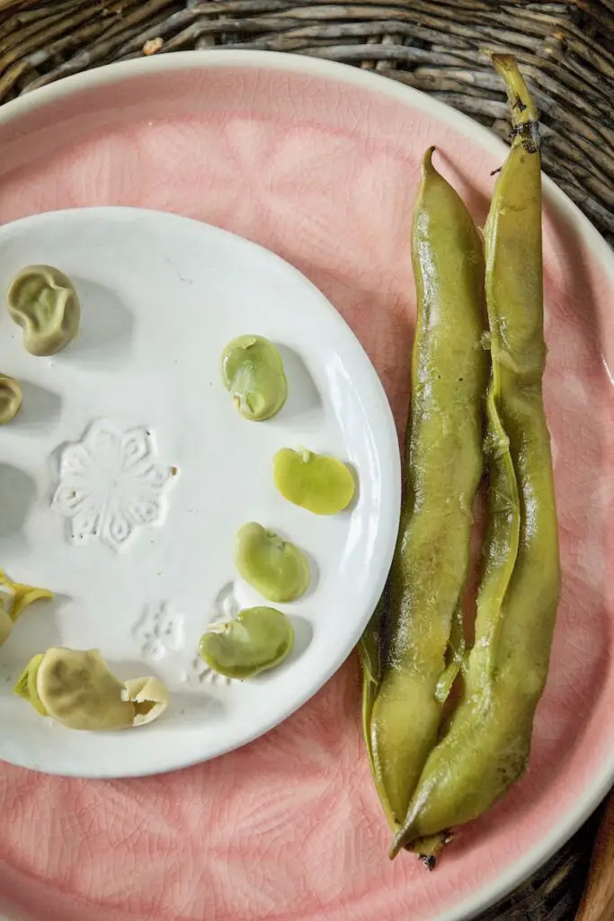 Baghali Pokhte – Healthy Street Food from Iran