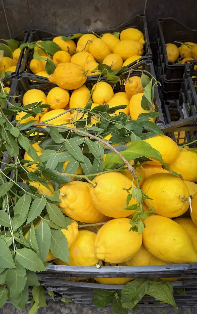 Tasting Campania – From Naples to Paestum on the Mediterranean Diet Trail
