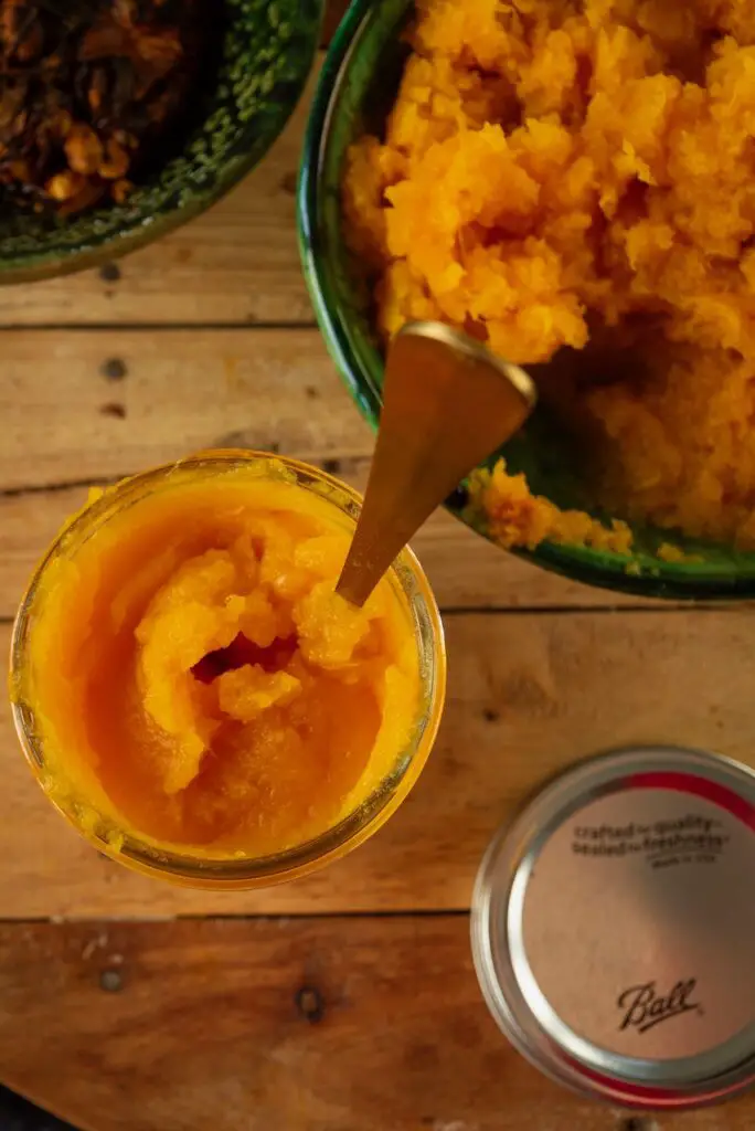 Easy Airfryer Pumpkin Puree