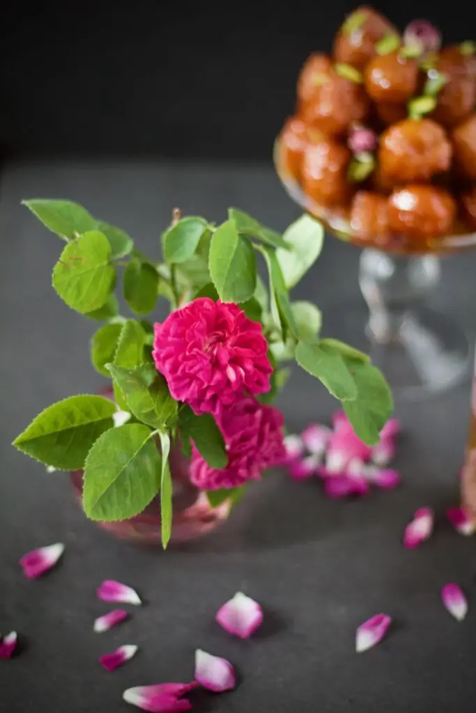 Saffron Bamieh and the Persian Engagement