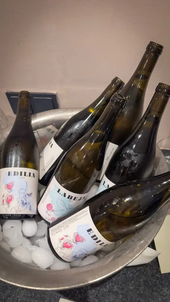 Farewell Party at Kronenschlösschen with Hideaways by Quality Lodgings