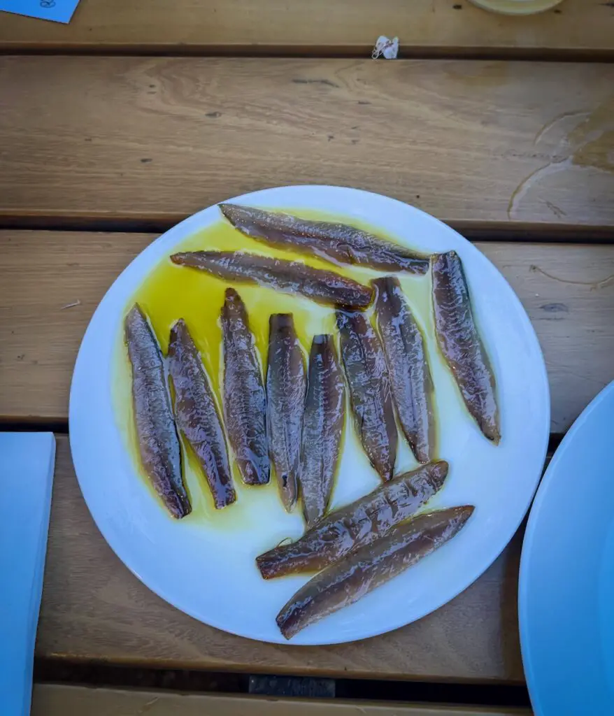 Txotx! How a Basque Cider Night Brought San Sebastián to Frankfurt