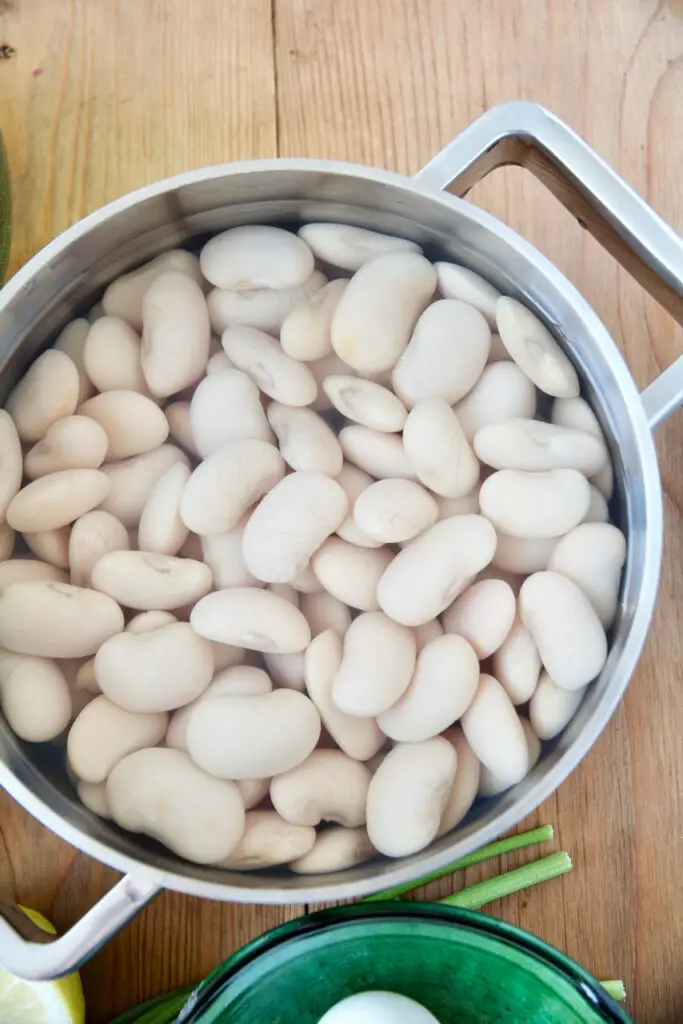 Piyaz – Giant White Bean Salad | سالاد لوبیا سفید