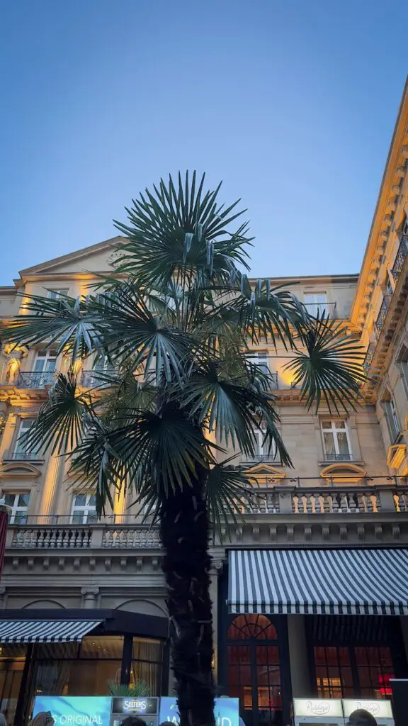 Vegan Summit and the Future of Food at the Frankfurter Hof