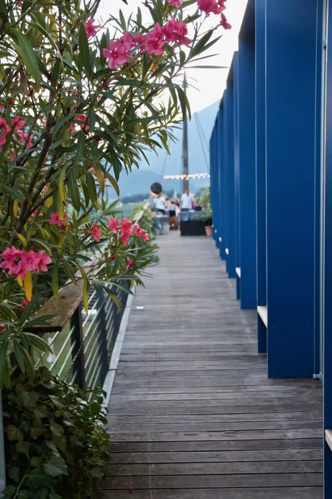 Trendy South Tyrol – A Luxury Guide to Algund & Dorf Tirol