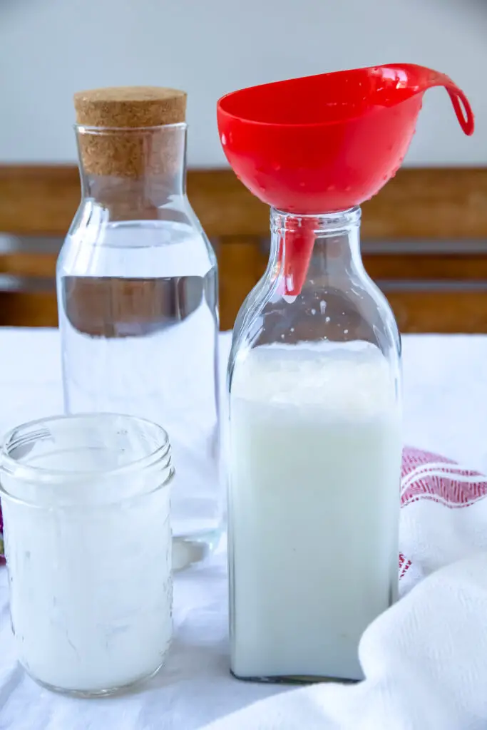 Doogh – A traditional Persian drink made from homemade yogurt