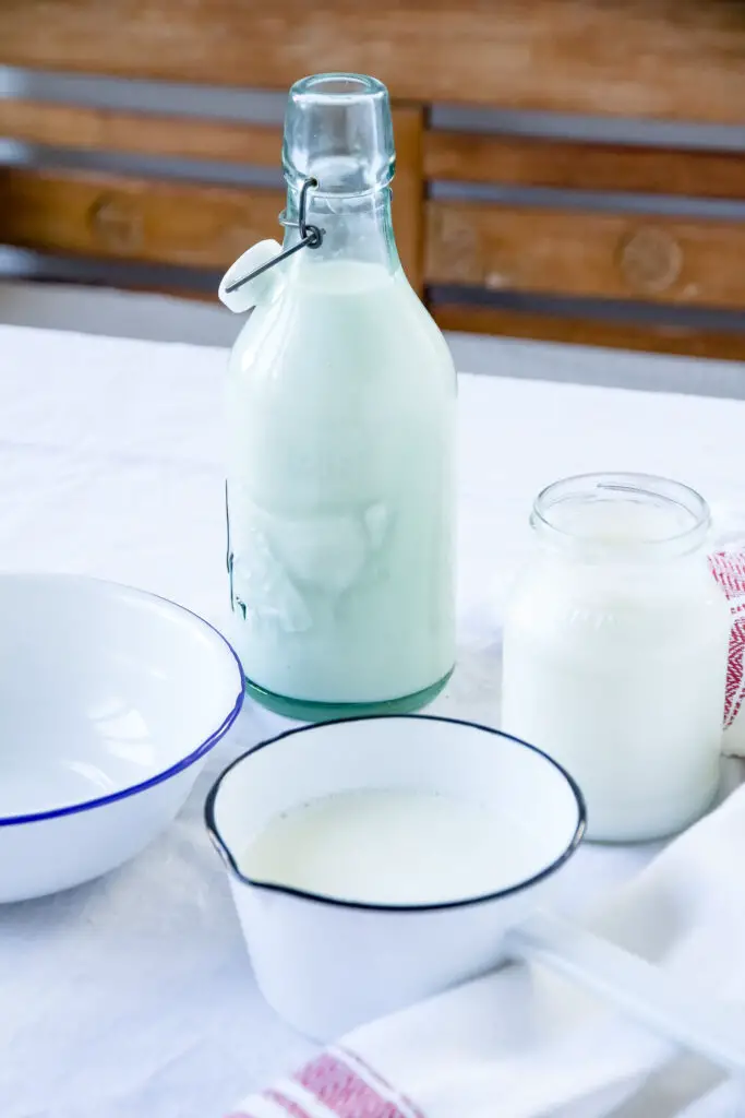 Doogh – A traditional Persian drink made from homemade yogurt