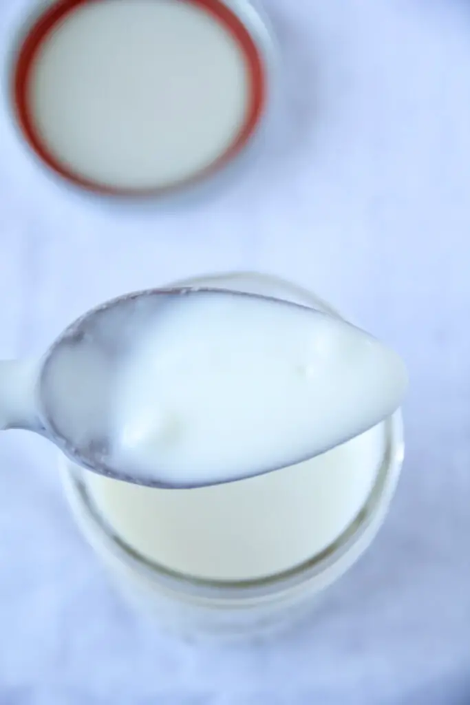 Doogh – A traditional Persian drink made from homemade yogurt