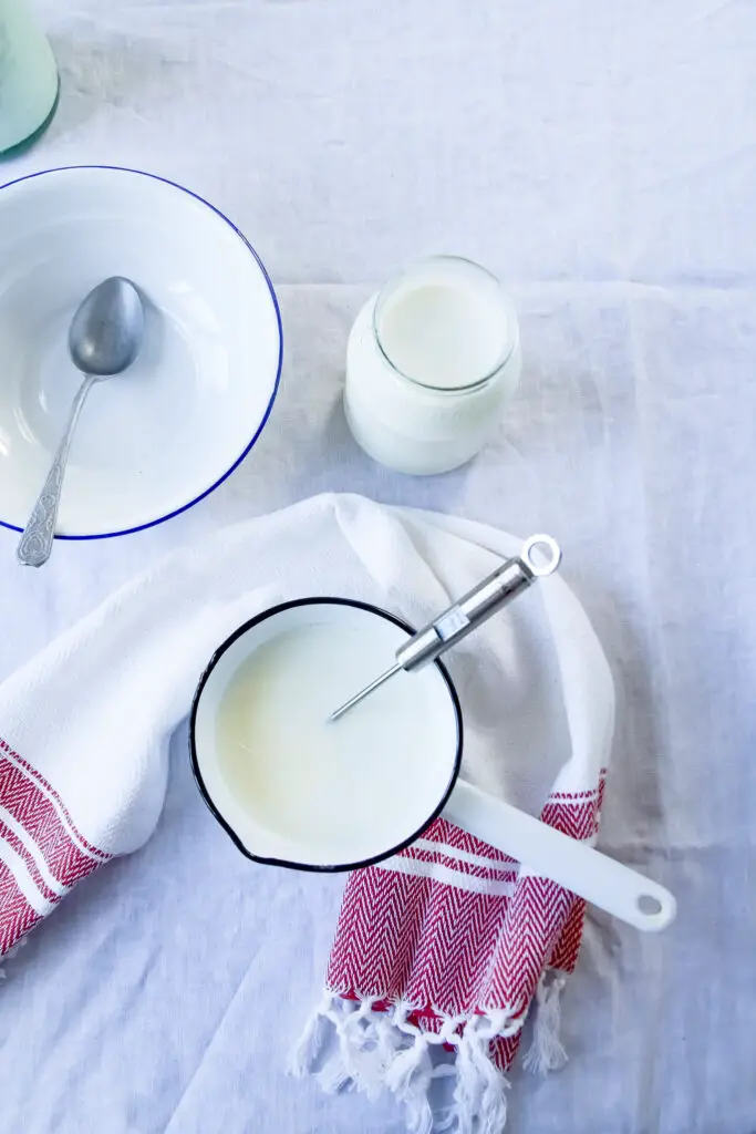 Doogh – A traditional Persian drink made from homemade yogurt