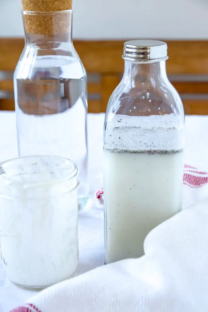 Doogh – A traditional Persian drink made from homemade yogurt