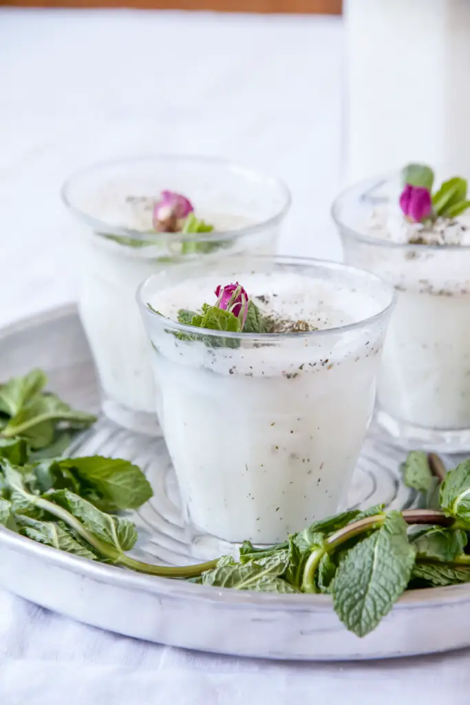 Dugh - Persisches Nationalgetränk mit selbst gemachtem Joghurt