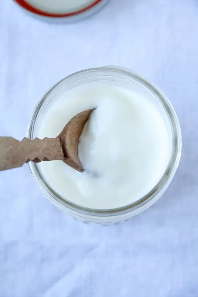 Doogh – A traditional Persian drink made from homemade yogurt