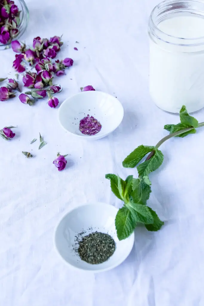 Doogh – A traditional Persian drink made from homemade yogurt