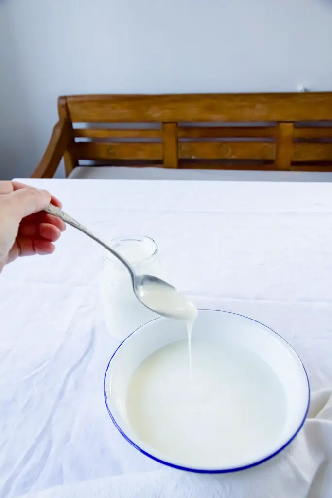 Dugh - Persisches Nationalgetränk mit selbst gemachtem Joghurt