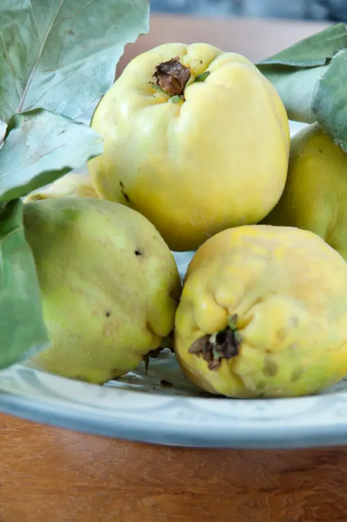 Morabay-e Beh - Traditional Persian Quince Jam