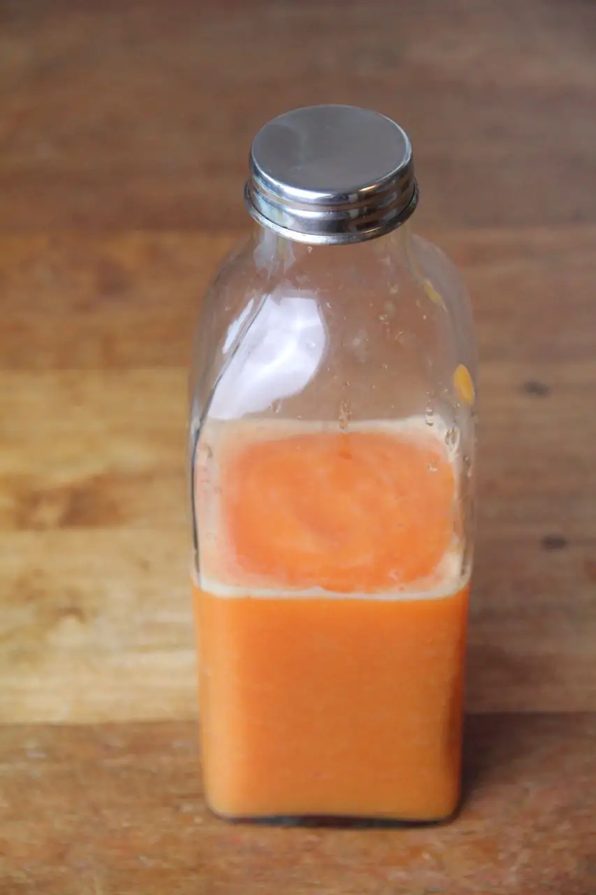 Papaya-Orangen-Smoothie Labsal 3