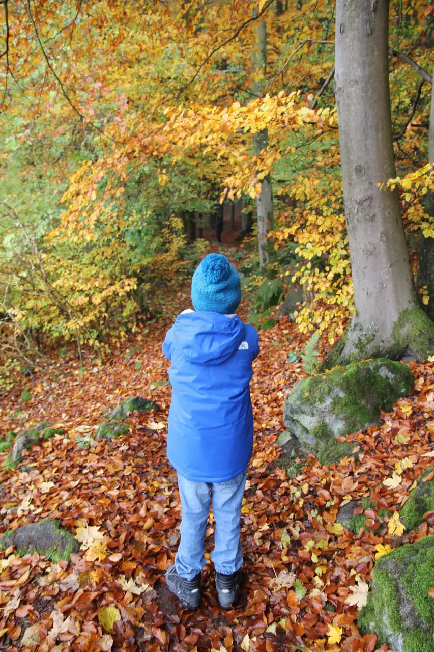 Wandern mit Kindern auf dem Naturpfad Bergstrasse-Odenwald