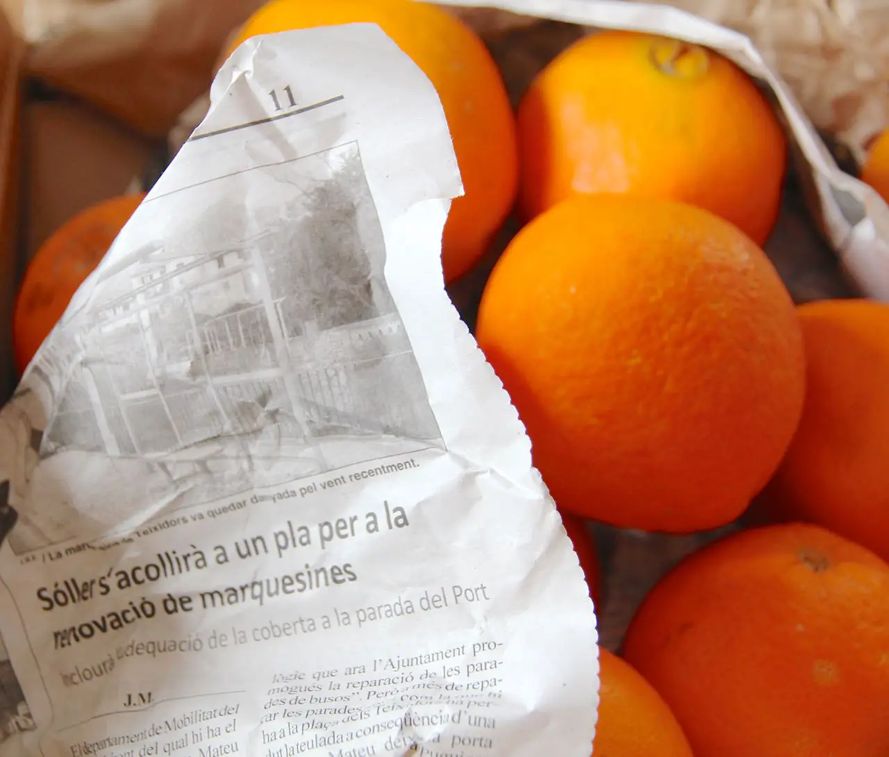Orangen von Fet a Soller Mallorca Labsalliebe