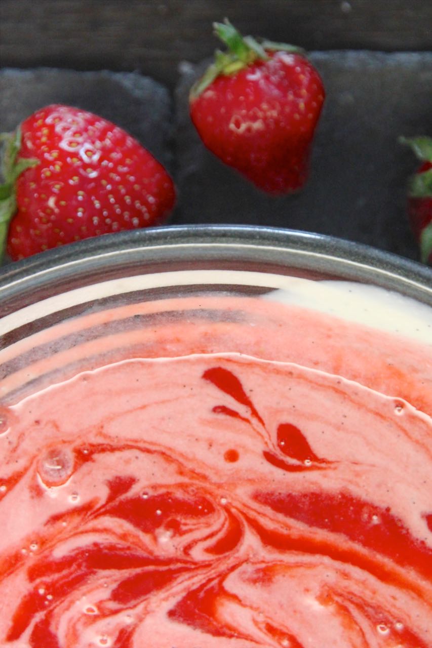 Erdbeer-Joghurt-Popsicles Labsalliebe 12