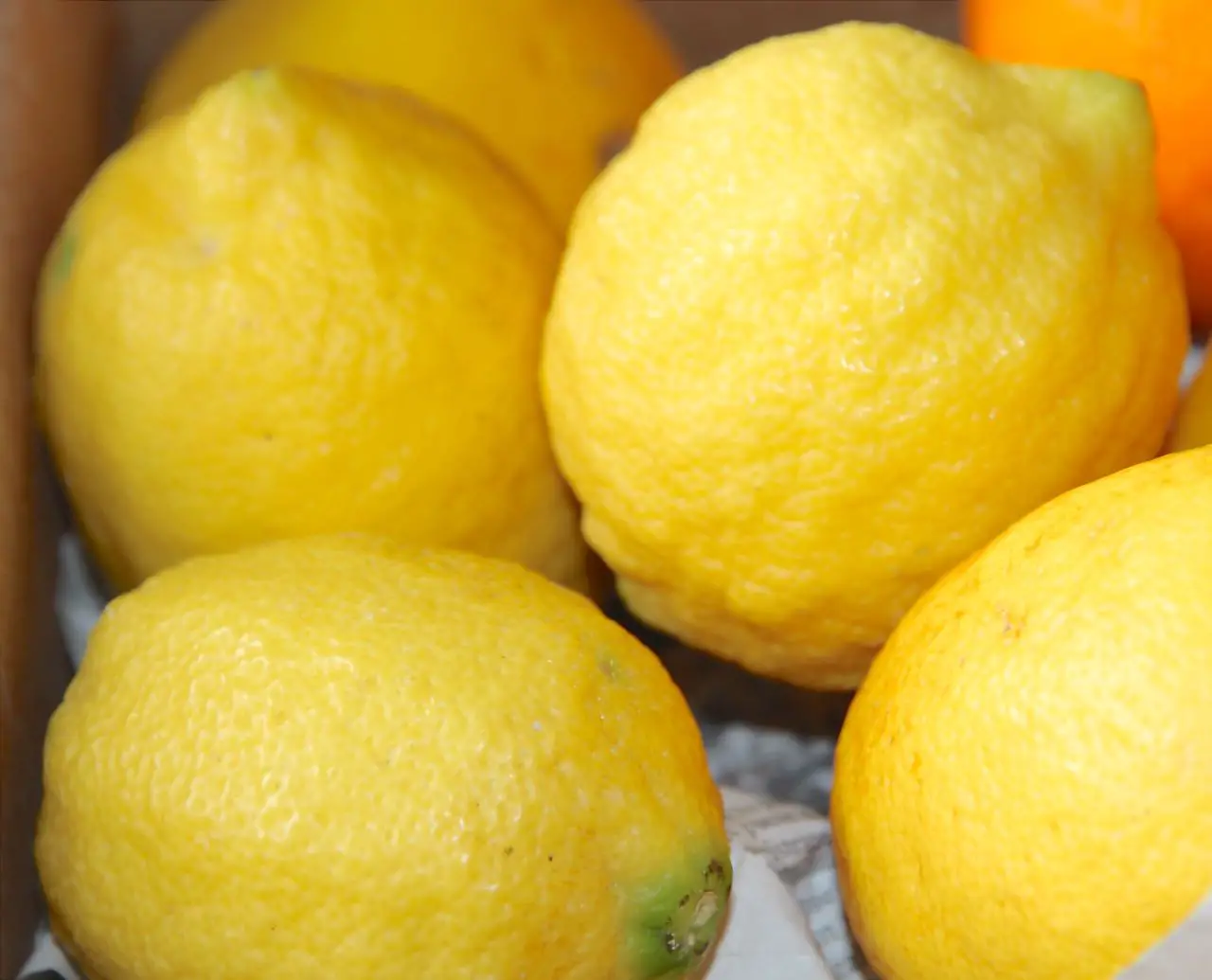 Zitronen Labsalliebe
