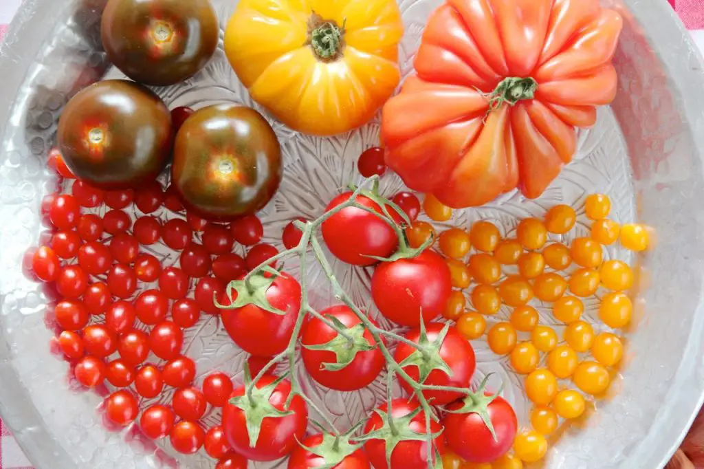 Salad Shirazi - Persischer Tomaten-Gurkensalat - Labsalliebe
