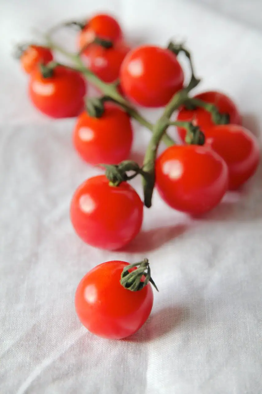 gesundheitliche-vorteile-von-tomaten-labsalliebe