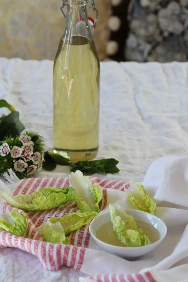 Sharbat-e Sekandjebin Khiyar - persische Minzlimonade mit geraspelten ...