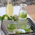 Sharbat-e Sekandjebin Khiyar - persische Minzlimonade mit geraspelten Gurken