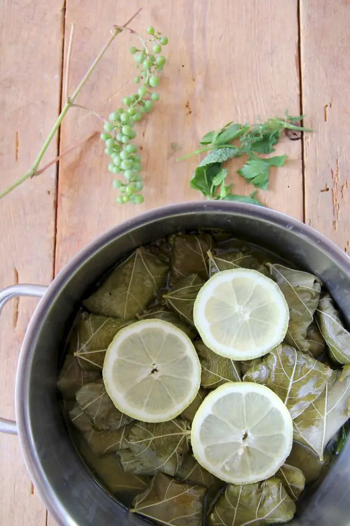 Dolmeh Barg-e mo - persische gefüllte Weinblätter Labsalliebe