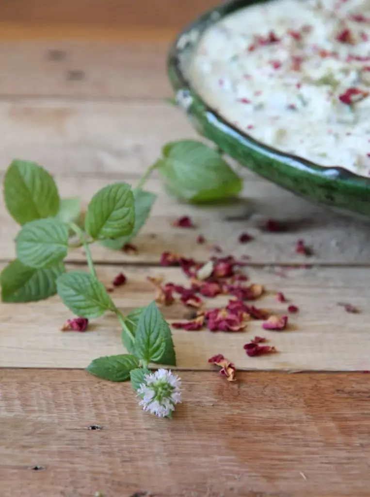 Mast-o Khiyar - persischer Joghurt-Dip mit Gurken und Sultaninen ...