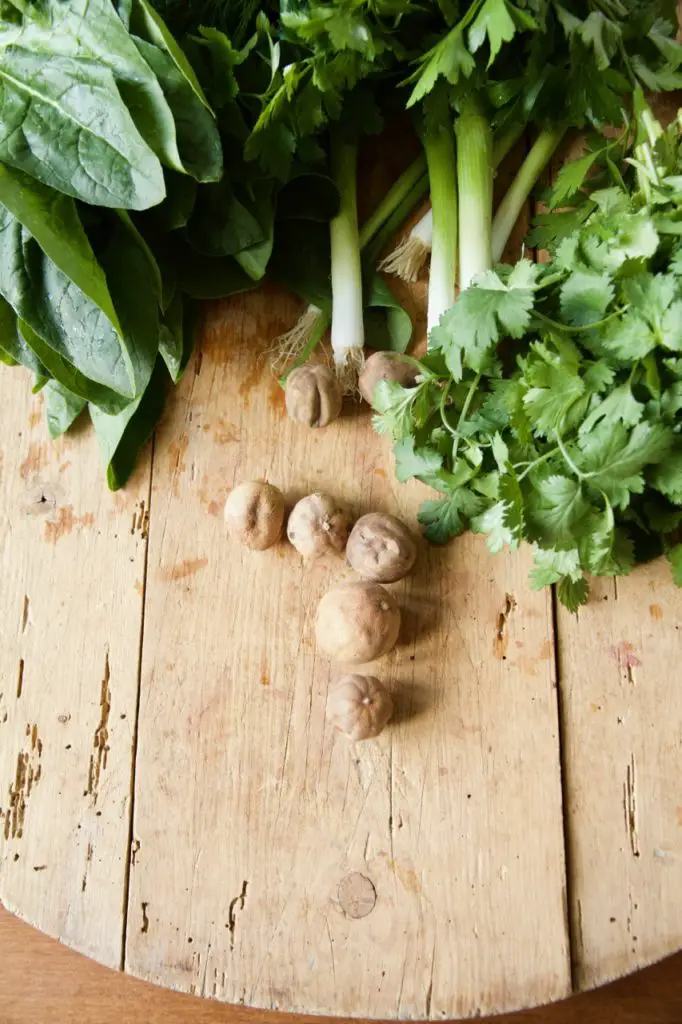 Ghorme Sabzi - Persisches Rinderragout in Kräuter - Labsalliebe