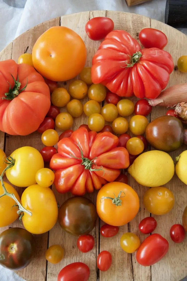 Bunter Tomatensalat mit Granatapfelkernen - Labsalliebe