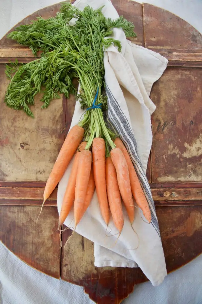 Orientalischer Karotten-Salat mit Rosinen und Walnüssen - Labsalliebe