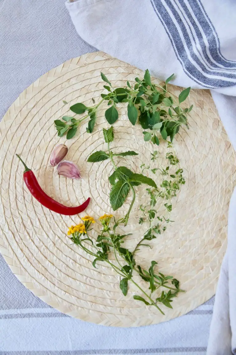 Gegrillter Feta mit Tomaten und Kräuter - Labsalliebe