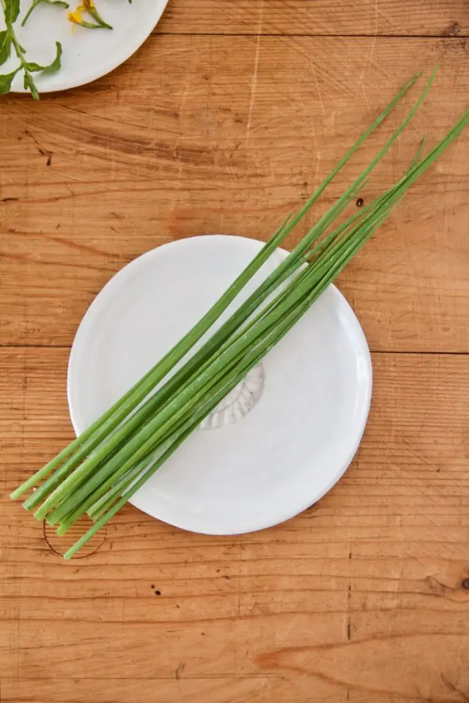 Sabzi Khordan Dip - Kräuter-Feta-Dip mit Walnüssen - Labsalliebe