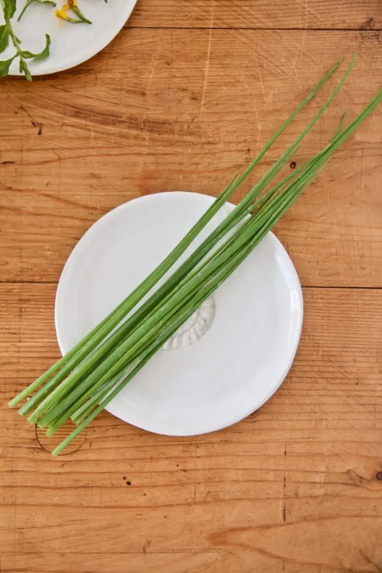 Sabzi Khordan Dip - Kräuter-Feta-Dip mit Walnüssen - Labsalliebe Sabzi Khordan Dip - Kräuter-Feta-Dip mit Walnüssen - Labsalliebe
