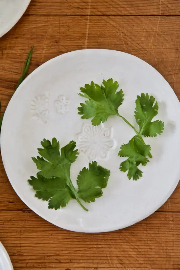 Sabzi Khordan Dip - Kräuter-Feta-Dip mit Walnüssen - Labsalliebe